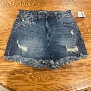 Kut from the Kloth Blue Distressed Jean Shorts
